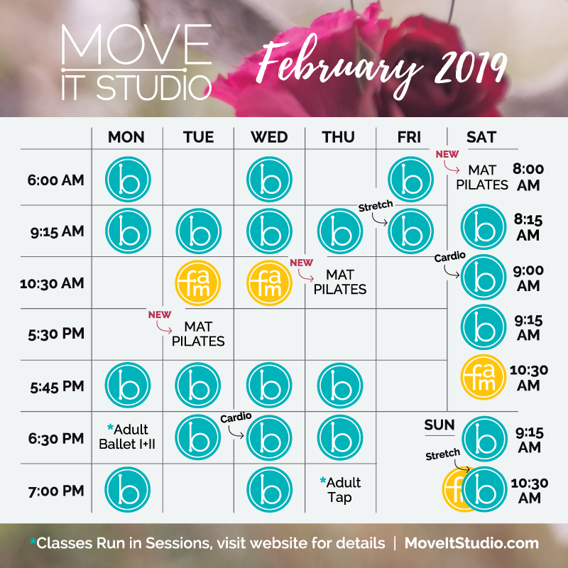 Best Barre Fitness Studio Lancaster Lititz PA Pennsylvania